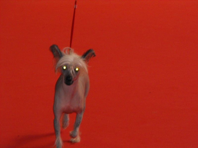 Deadline Du Doux Mystere