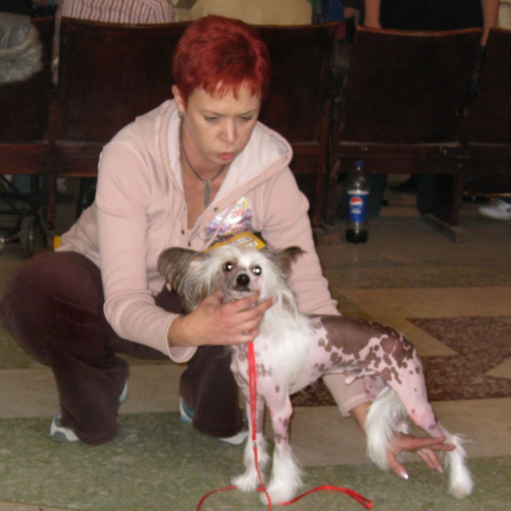 Sharol Shi Uliash Landish Serebristi