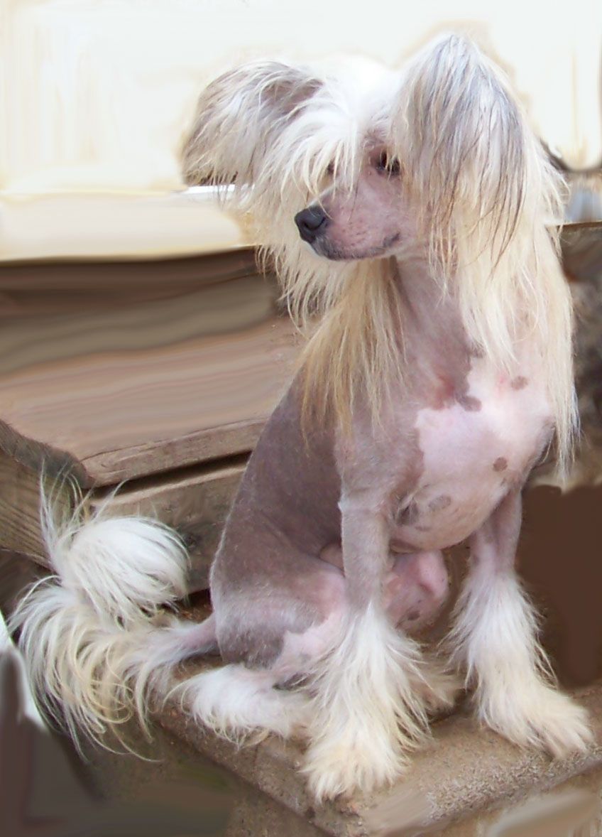 Spiritual Chase Away the Blues