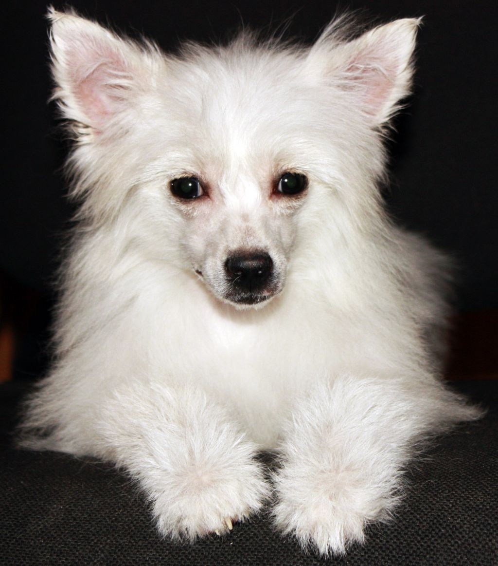 Benita Snow Avalanche