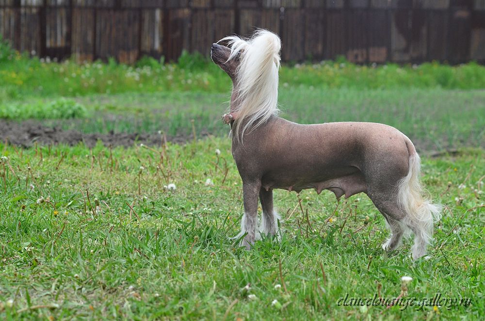 Valensiya Smargo Haus