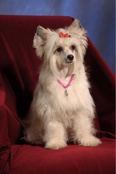 Fantastik Kashmir Habina Helly May