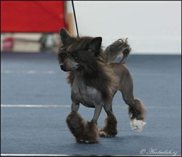 Touch Beauty Be my dancing queen