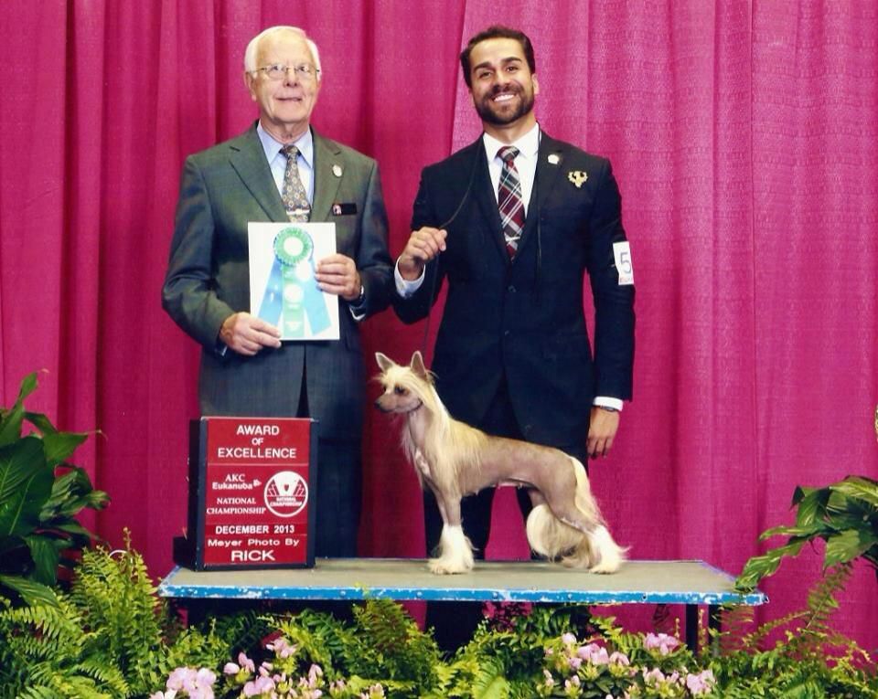 Olivera's Soaring Above It All HL