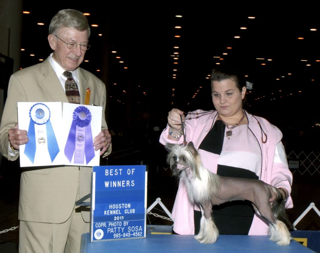 Dasha's Karmas A Bich