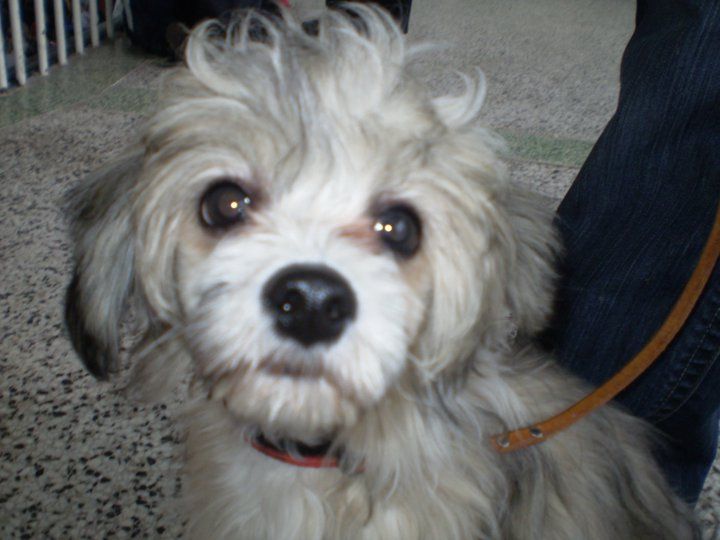 Aiko Fuzzy Luck