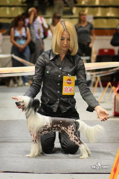 Status Imperial Jivanshy Style