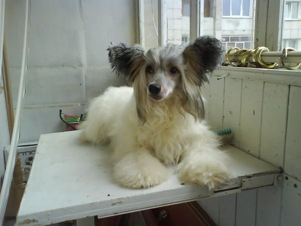 Grand Sunlife Geroni Gemma