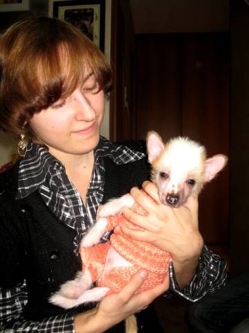 Nyu Art Ul's Tantsuyuschii Svet