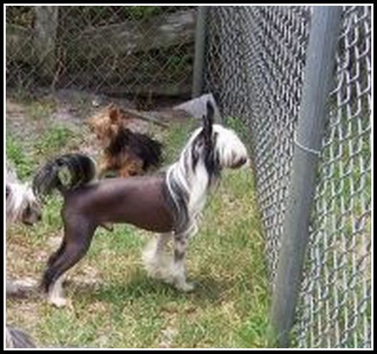 Expression-Knock Ur Socs Off Suber