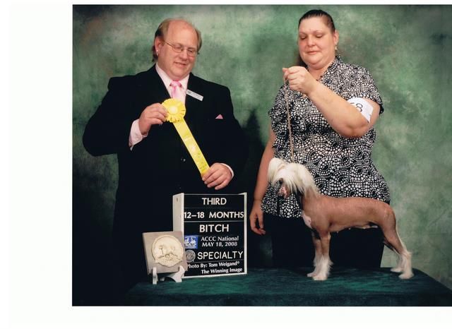 Shomars We-b Spring Fling