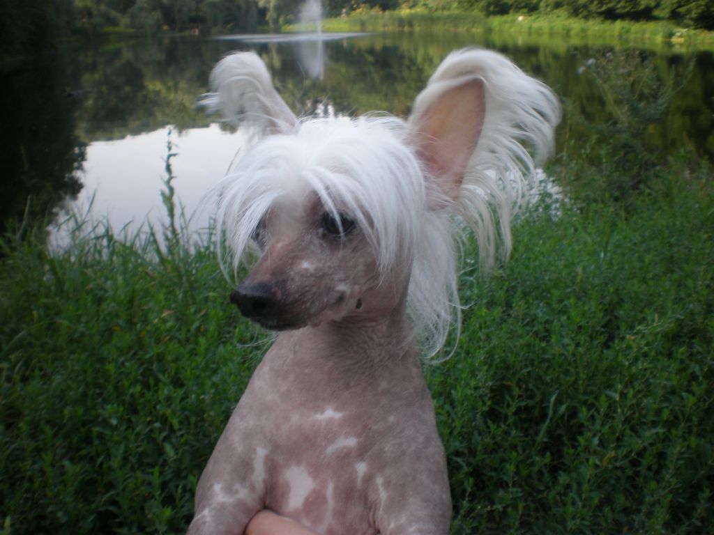 Verdzhiniya Vostochnaya Skaska