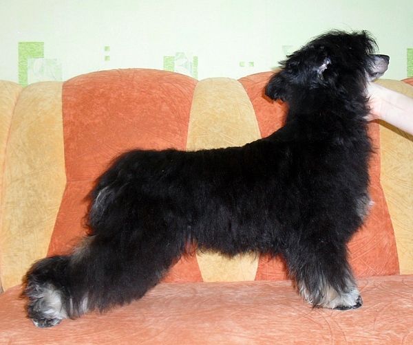 Orero Lovely Oredezh