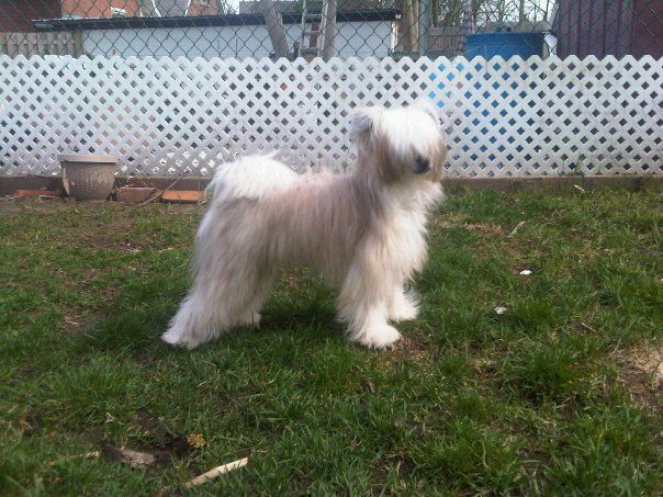 A Ray of Sunshine Mahn