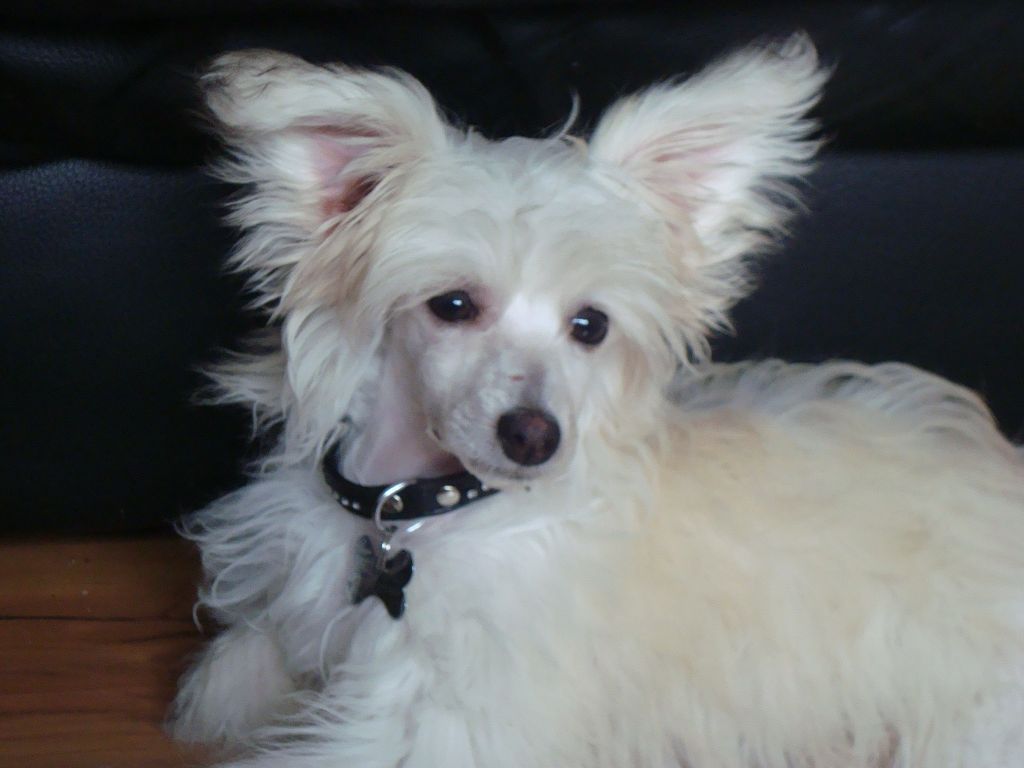 ferrous's sandy baby