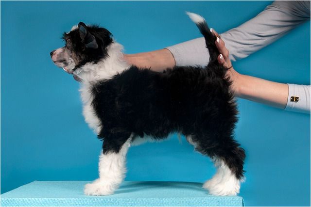 Sane Boy In Love Eclipse