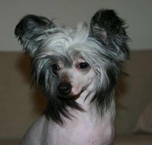 Nordlysbyen's Viva La Gloria