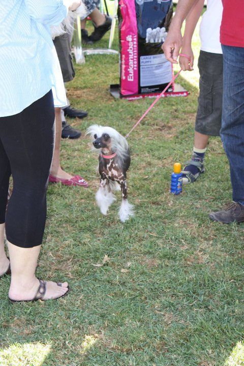 Esmiralda Kuey Fuzhin