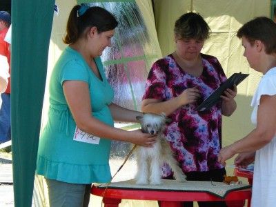 Puma Viktori Flame Minodora