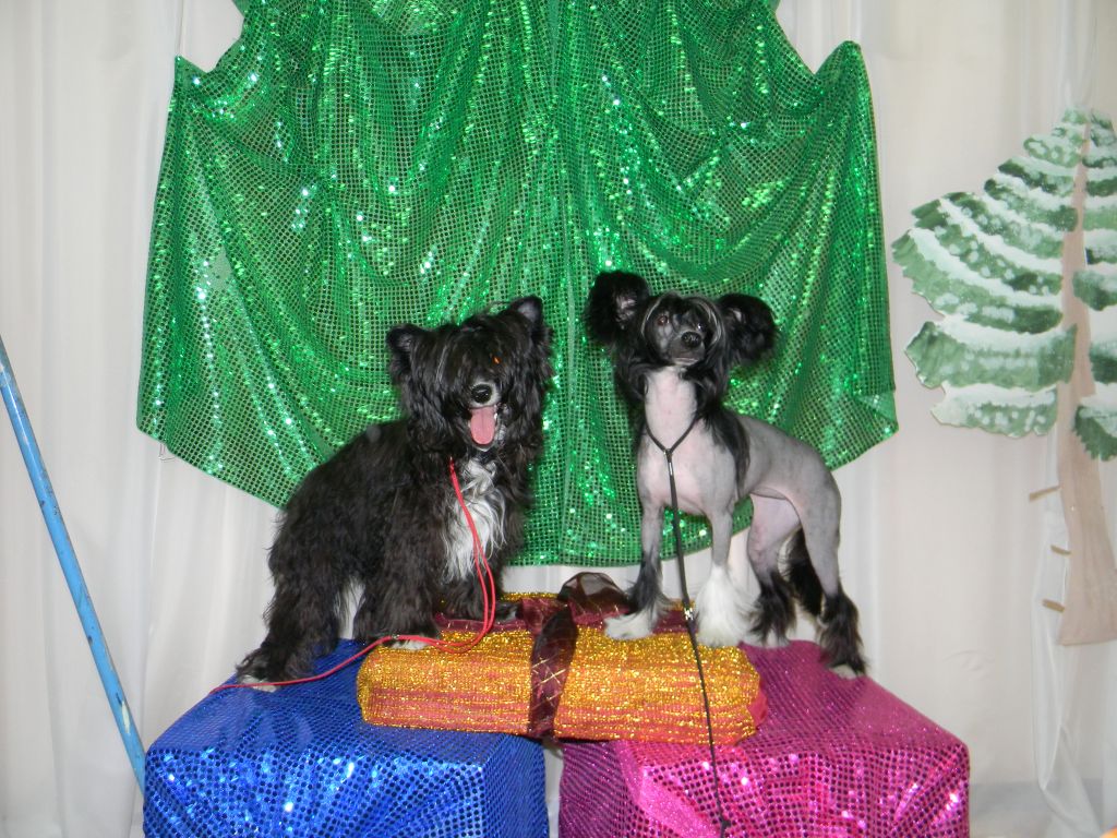 Vi-Vi Pandora Ognenny Lotos