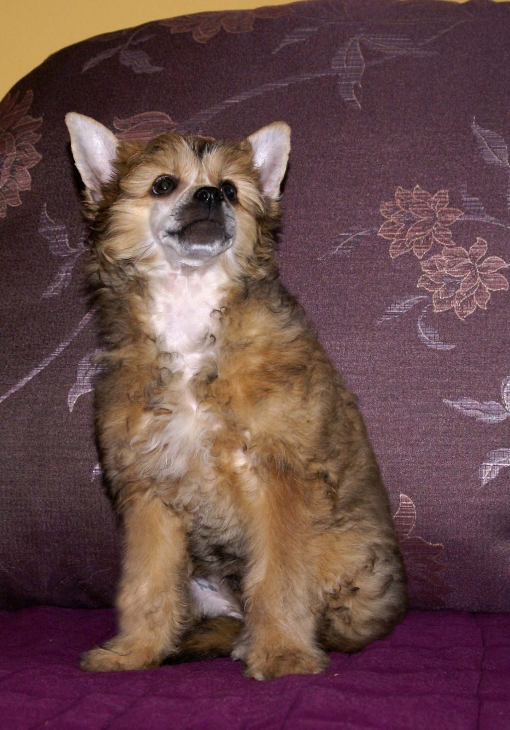 Endless kiss Kris Kinsey 