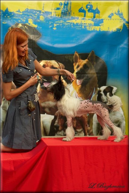 Mashama Mazi Rus Doli