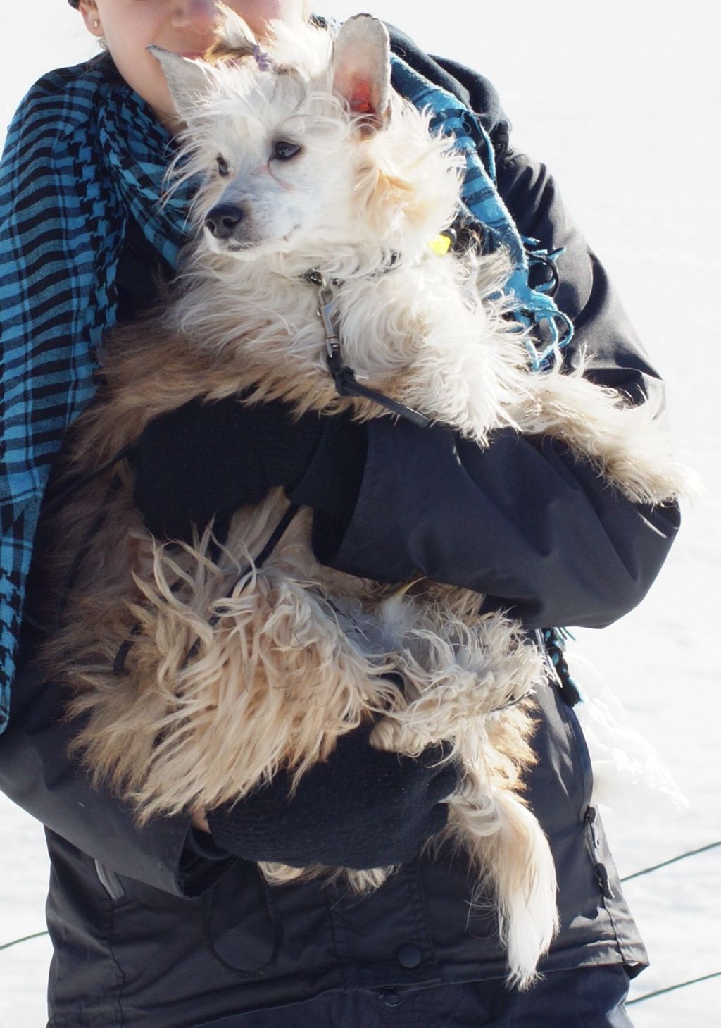 Ridgecrest's Most Played