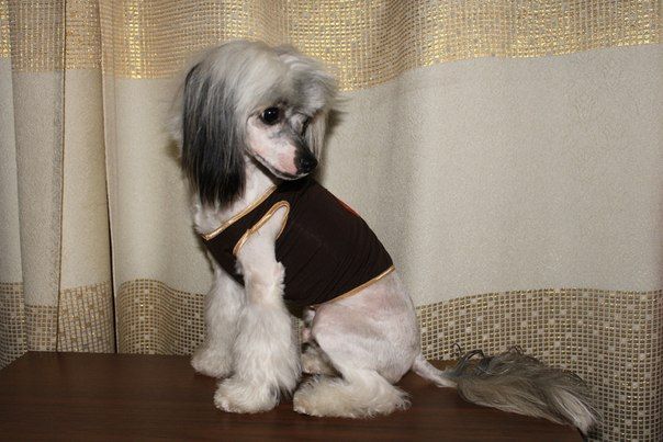 Sapfir iz Tsarskogo Sela Varfolomei