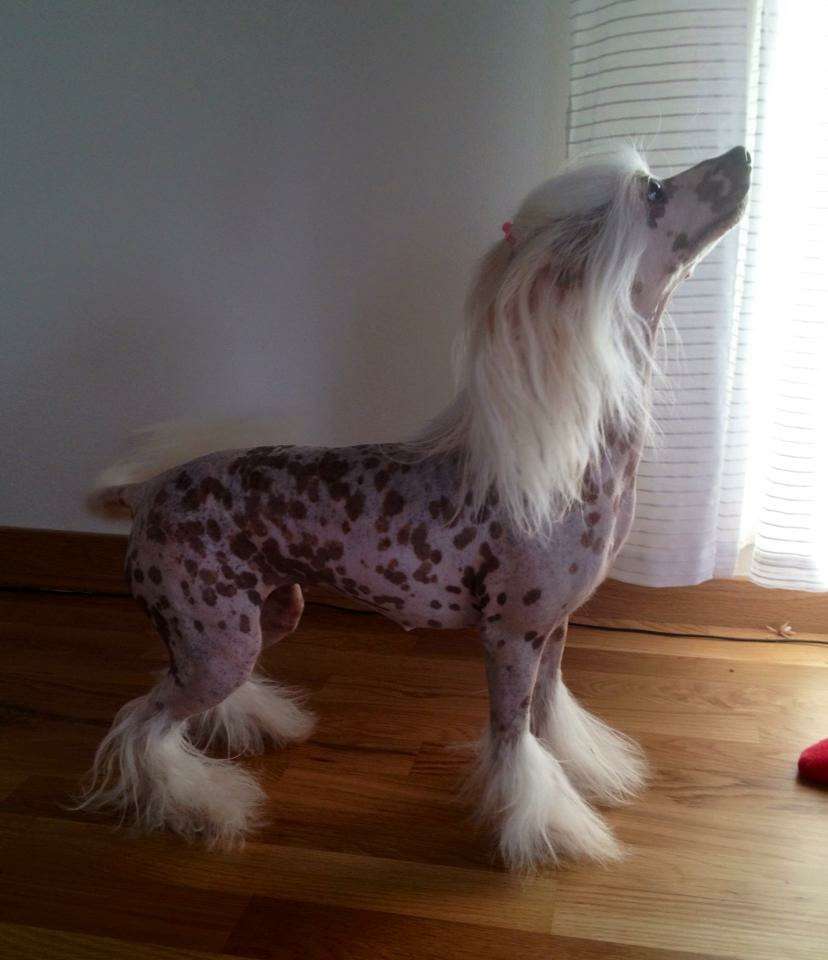 Jean Dark Endless Love