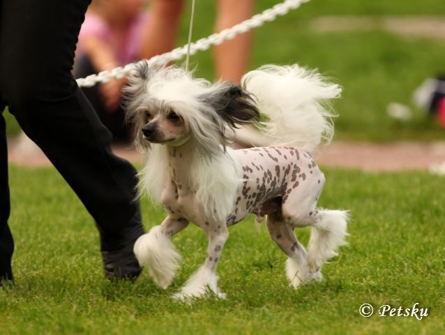 Zodellin Back In The USSR