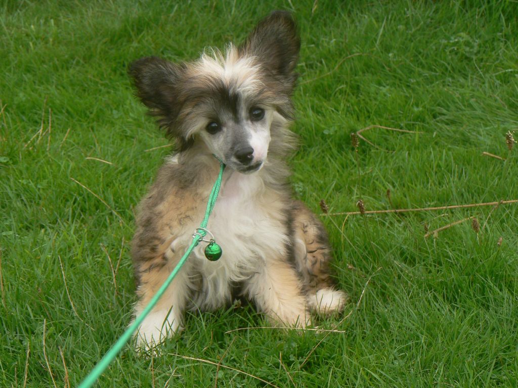 Doucai Taste The Good Life