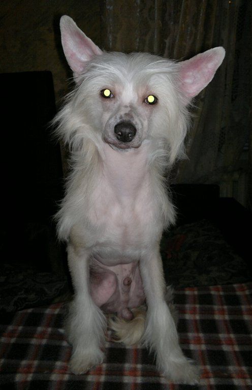 True Magnifisen Almonds Sweet