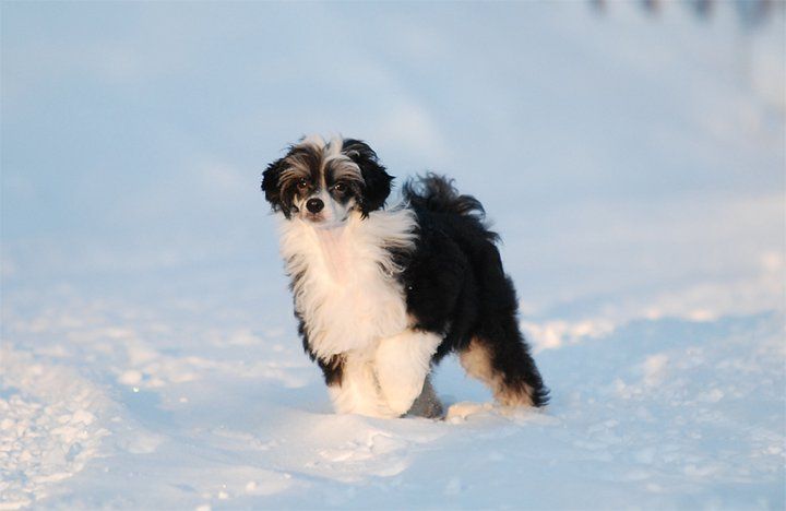 Silent Key's Polar Night