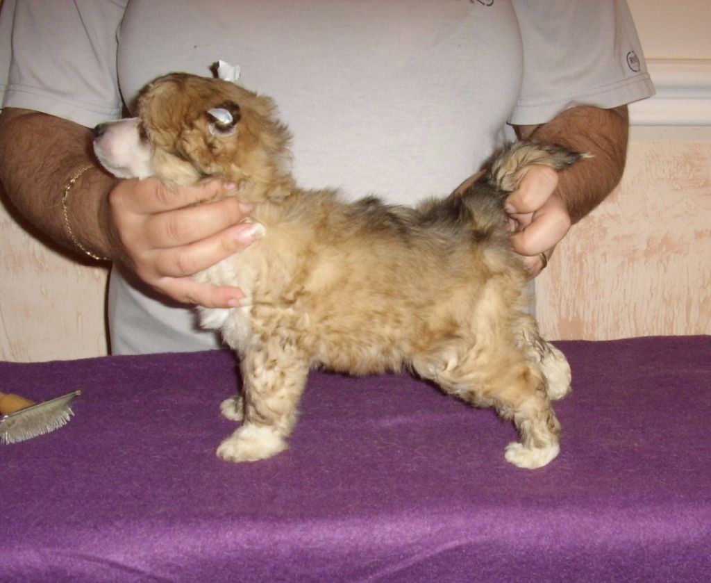 Choco-Bit Joyce Reardon