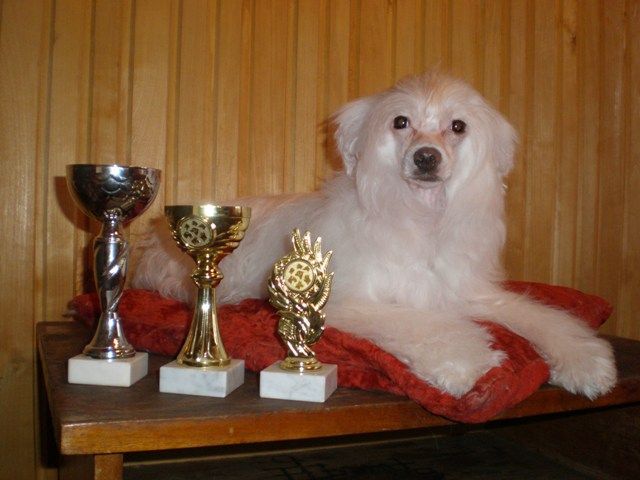 Amelinka NomiStar Aleksa's House