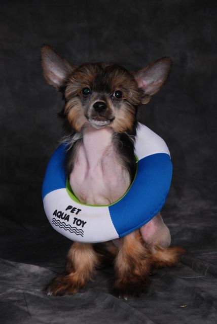 Alik Sandr Aleksa's House