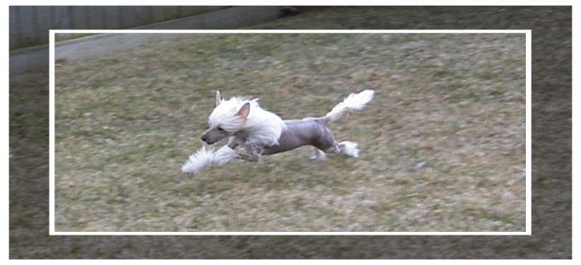 Altair's All The Pretty Horses