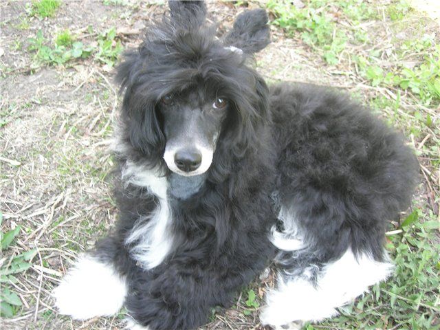 Rovanni Djekattolo Rebekka Grand