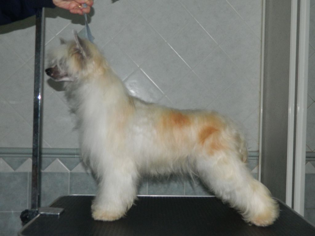 MegiAfrodite Dea Dell'amore