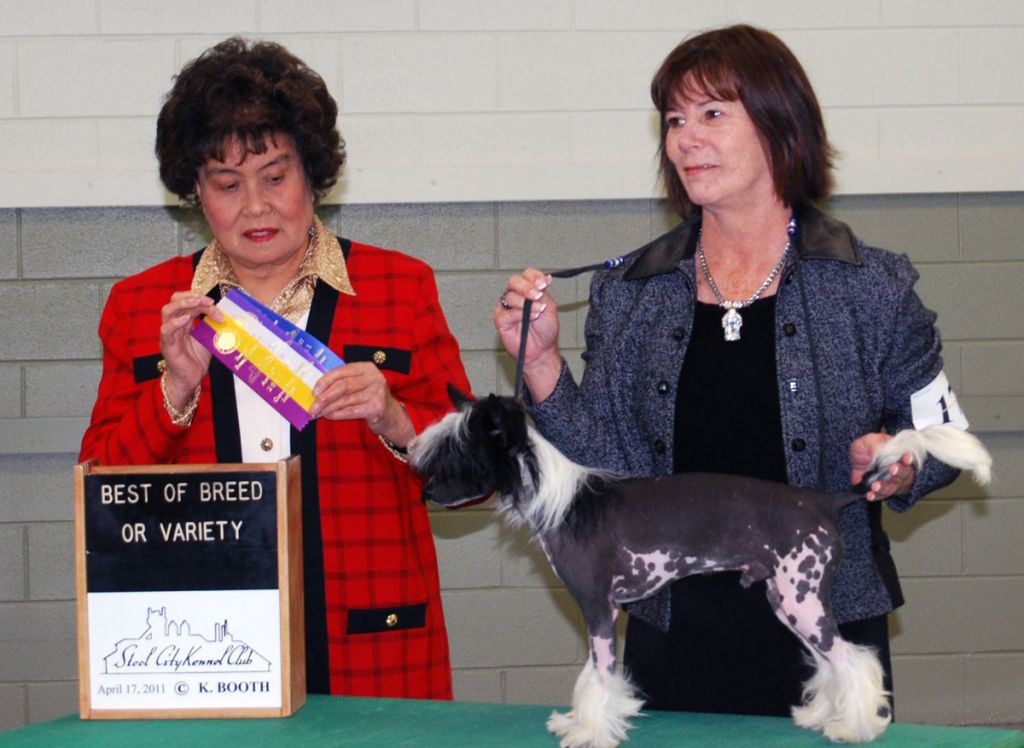 Creekside's Follow the Code