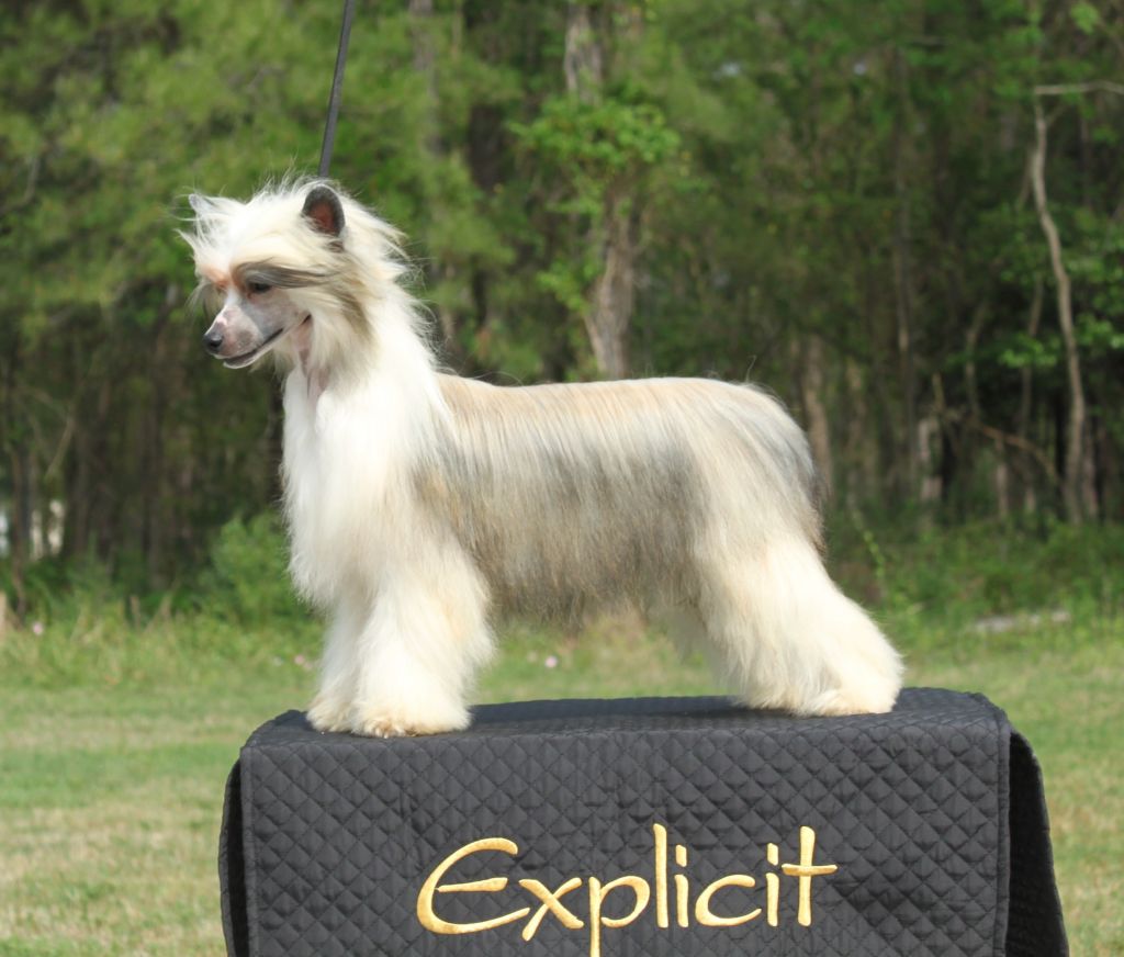 Explicits How Many Licks Does It Take