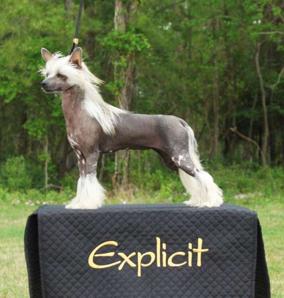 Explicit Time Of My Life At Cabaret DOM