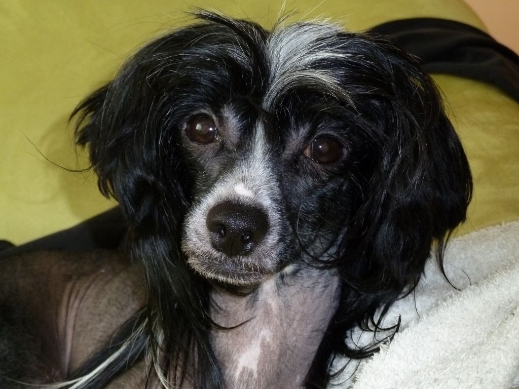 Vinnie ze Zatopené chajdy