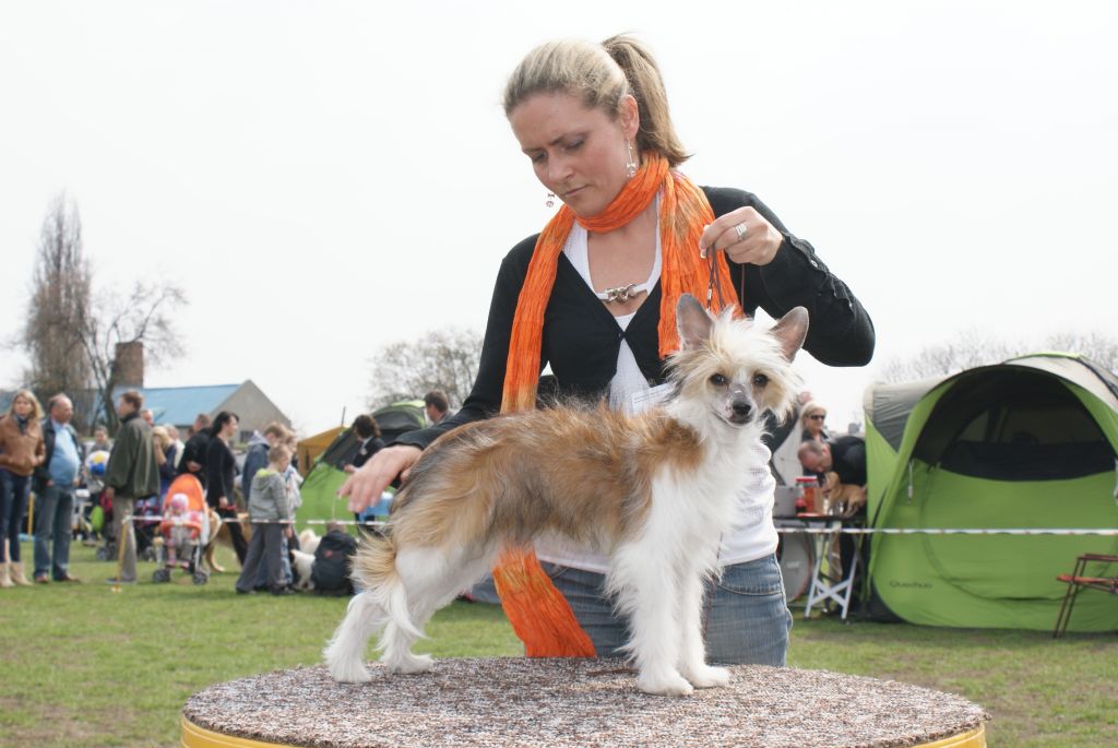 ARISA Valp fra Elizabeth