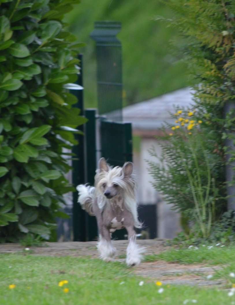 solino's Up Up & Away