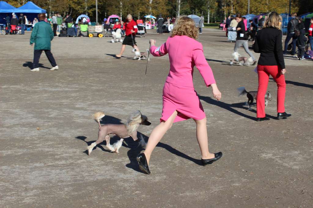 Pinky Twinky Just Another Superstar