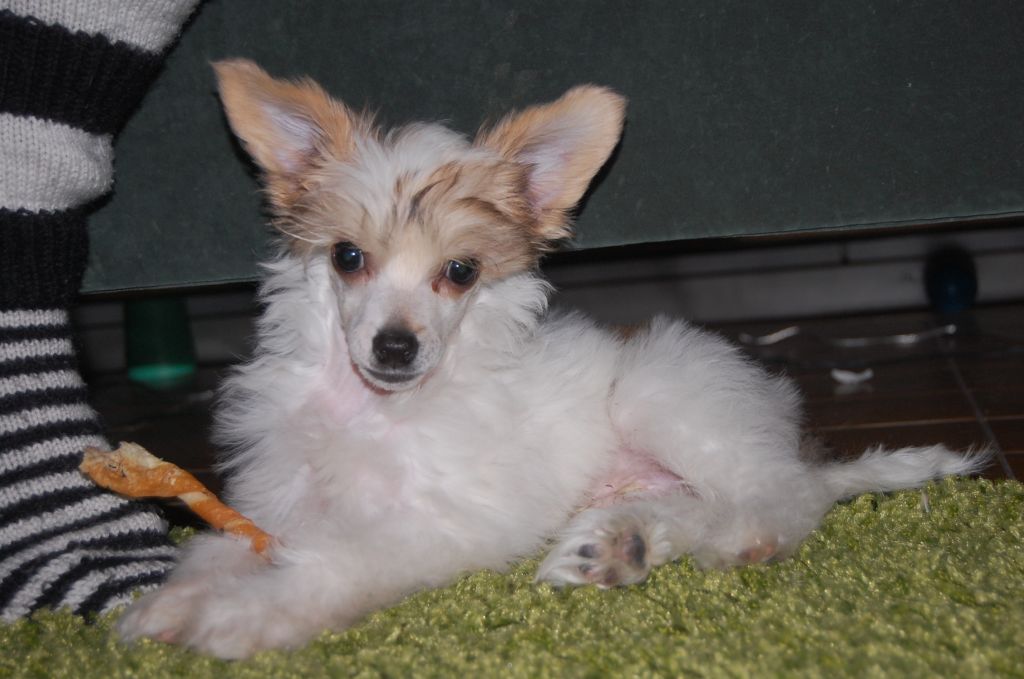 Pinky Twinky Just Kidding