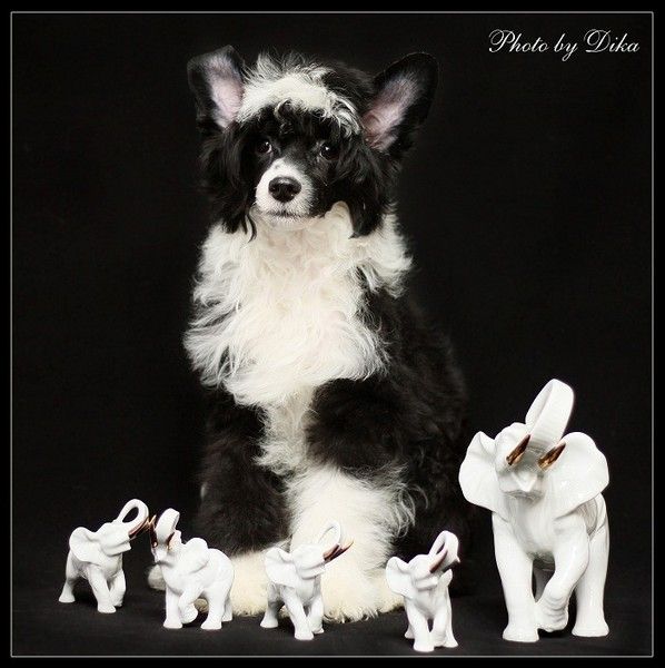 Naimuluna Line Norman Foster