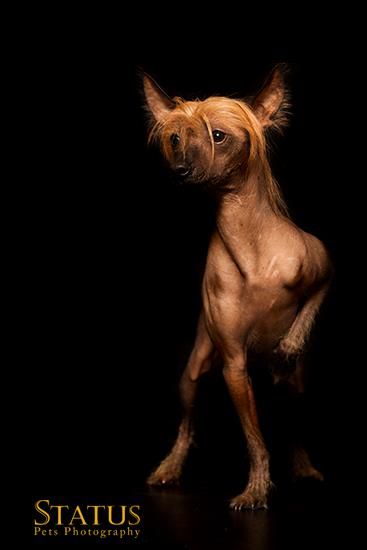 Xandilara Gianni At Boscardini