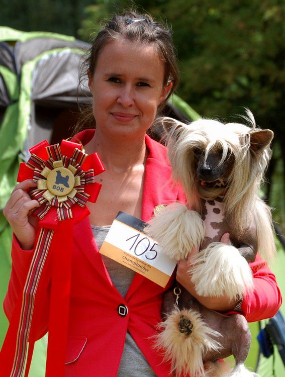 El Libertador - Simon Di China Latina